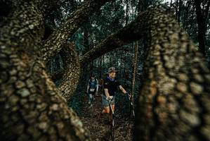 BIB: 
                            <button type="button" onclick="openModal(25672398)" class="btn btn-primary btn-sm float-right btn-popup" data-toggle="modal" data-target=".modal-high-quality">
                        <i class="fas fa-shopping-cart"></i> Add to Cart
                    </button>
                                            <button type="button" onclick="isThisMe(25672398, true)" class="btn btn-success btn-sm float-right btn-popup btn-isme hidden" data-toggle="tooltip" data-placement="bottom" title="นี่คือรูปของคุณใช่ไหม คลิกที่นี่เพื่อเอาเข้าอัลบั้ม">
                        <i class="fas fa-plus"></i> Add to album
                    </button>
                    <button type="button" onclick="isThisMe(25672398, false)" class="btn btn-warning btn-sm float-right btn-popup btn-isnotme hidden">
                        <i class="fas fa-ban"></i> Remove from album
                    </button>